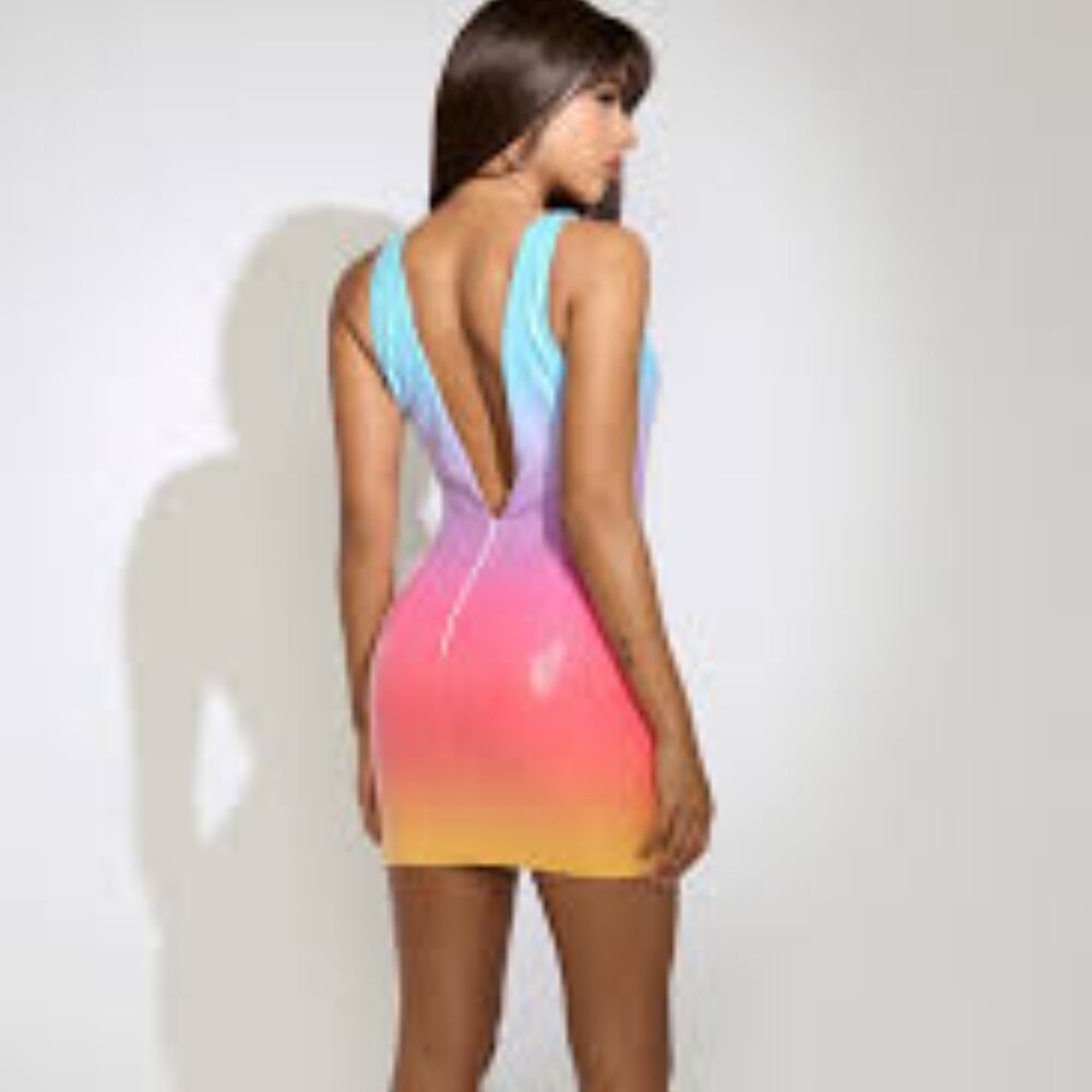 Runaway the Label NWT Rainbow Dress